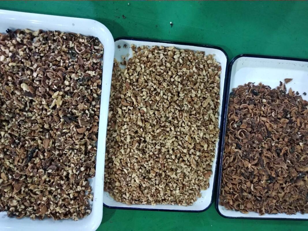 Wenyao Professional Nuts Separation Machine Cashew Nut Walnut Areca Nut Color Sorting Machine con telecomando WIFI