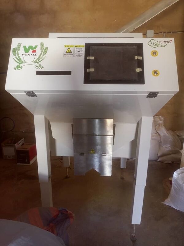 Wenyao Hot Selling Color Optical Sorting Coffee Beans Color Sorting Machine