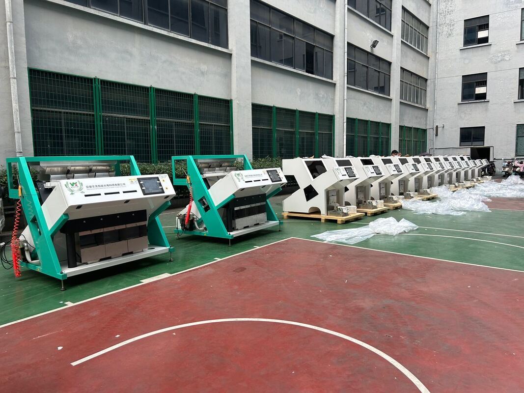 Wenyao Hot Selling Color Optical Sorting Coffee Beans Color Sorting Machine