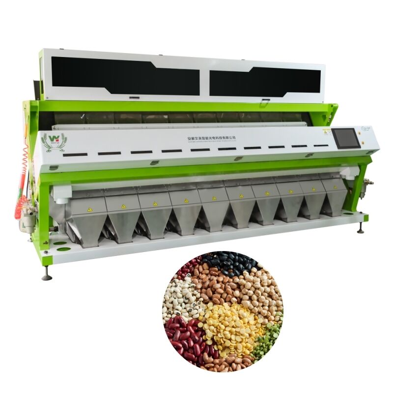 Macchina selezionatrice a colori di grande capacità Wenyao 10 Chute 640 canali per fagioli, fagioli mung, fagioli borlotti, selezionatrice ottica per la selezione delle noci