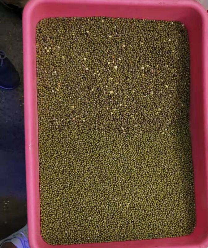 Macchina selezionatrice a colori di grande capacità Wenyao 10 Chute 640 canali per fagioli, fagioli mung, fagioli borlotti, selezionatrice ottica per la selezione delle noci