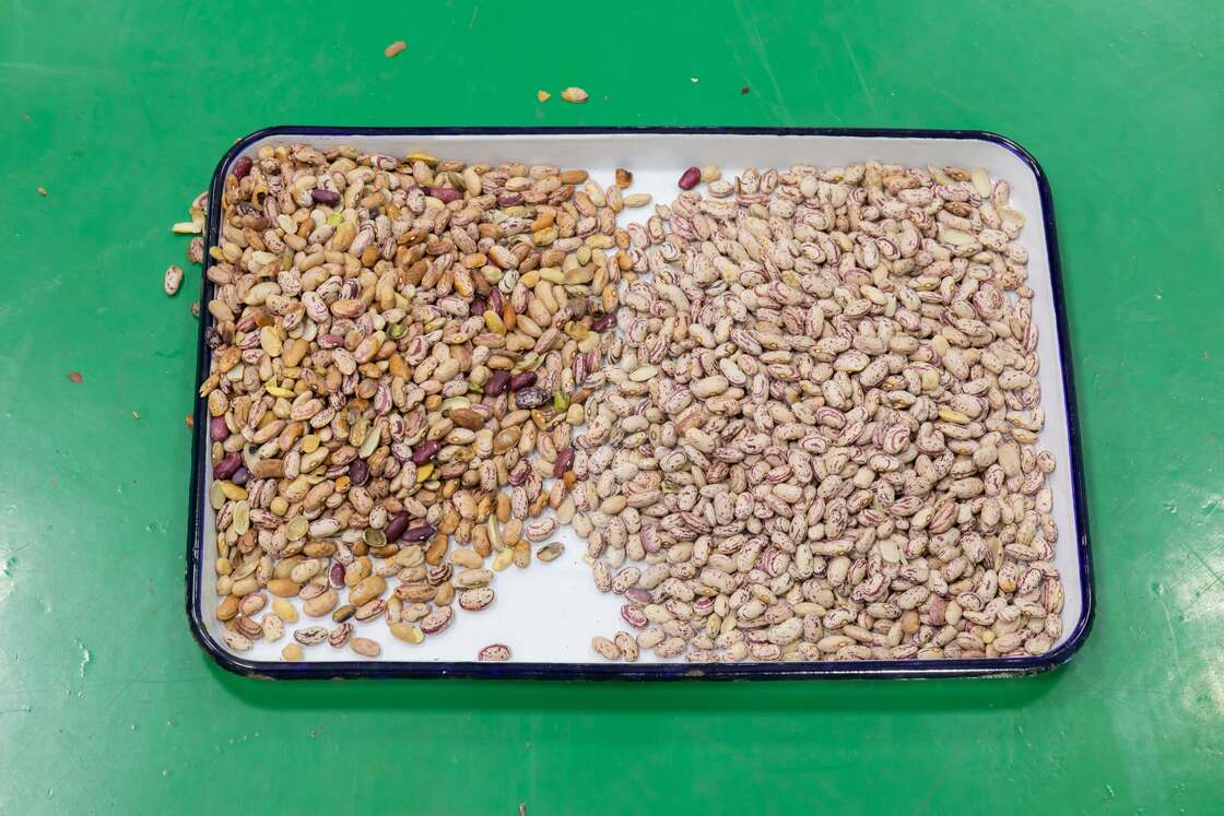 Macchina selezionatrice a colori di grande capacità Wenyao 10 Chute 640 canali per fagioli, fagioli mung, fagioli borlotti, selezionatrice ottica per la selezione delle noci