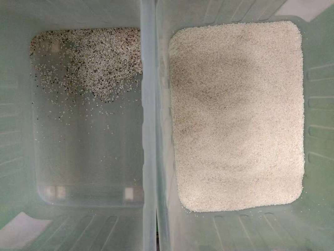 Macchina selezionatrice di colori per sorgo cinese completamente automatica intelligente 7Chute 70 tonnellate al giorno