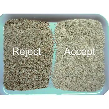 High Accuracy Grain Color Sorter with 3-8TPH Output and ≥99.99% Sorting Accuracy for Rice Buckwheat Quinoa Wheat Millet