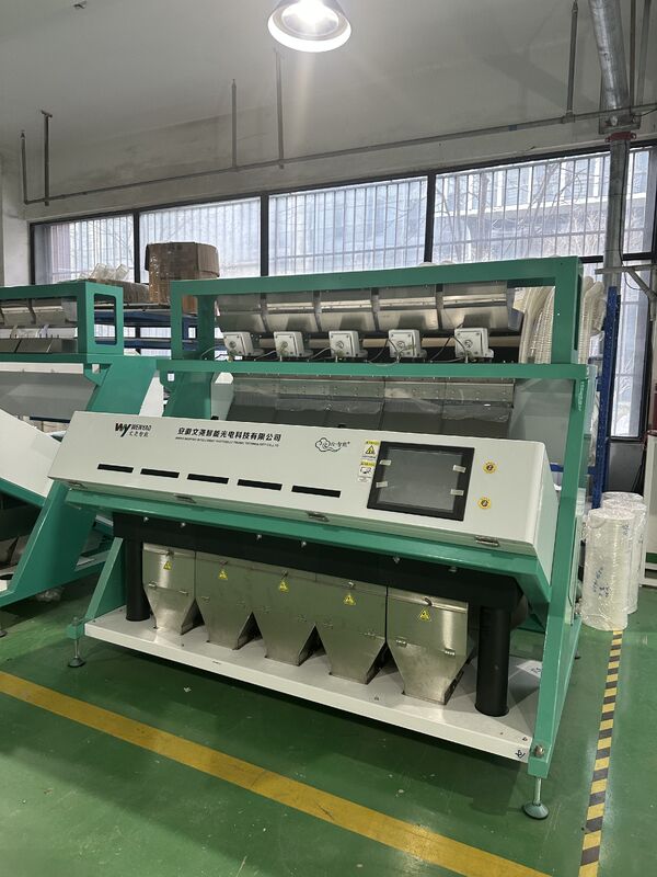 Wenyao 5 Scivolo Selezionatore ottico intelligente Selezionatore automatico di colori di noce Selezionatore di colori di noccioli e conchiglie di pinoli