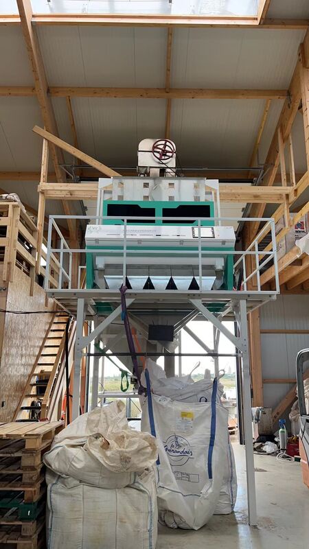 Wenyao 5 Scivolo Selezionatore ottico intelligente Selezionatore automatico di colori di noce Selezionatore di colori di noccioli e conchiglie di pinoli