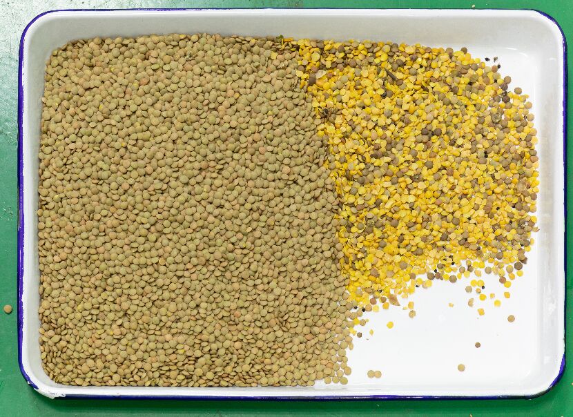 Macchina selezionatrice ottica di colori per cereali, fagioli neri, chicchi di caffè e lenticchie, certificata CE, automatica, in vendita 2026