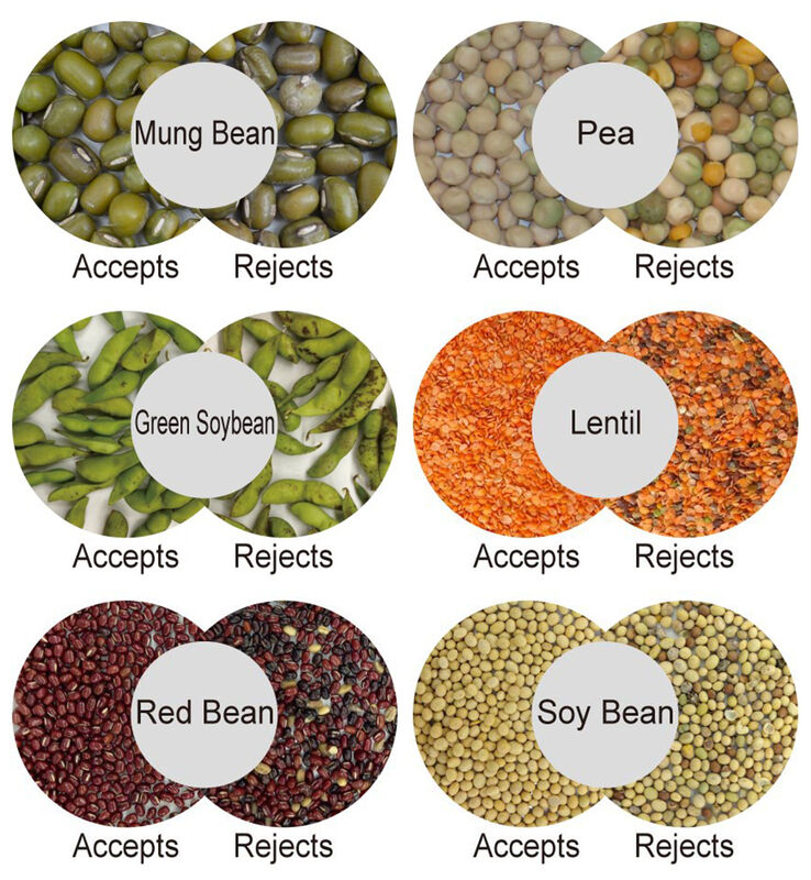 WENYAO Macchina per la classificazione dei chicchi di caffè AI Color & Shape Sorter 99,99% Accuratezza 2500-8000kg/h Capacità Alta purezza Garanzia di 2 anni
