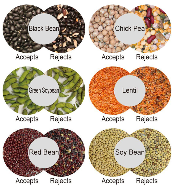 WENYAO Macchina per la classificazione dei chicchi di caffè AI Color & Shape Sorter 99,99% Accuratezza 2500-8000kg/h Capacità Alta purezza Garanzia di 2 anni