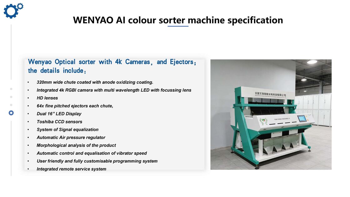 WENYAO Macchina per la classificazione dei chicchi di caffè AI Color & Shape Sorter 99,99% Accuratezza 2500-8000kg/h Capacità Alta purezza Garanzia di 2 anni