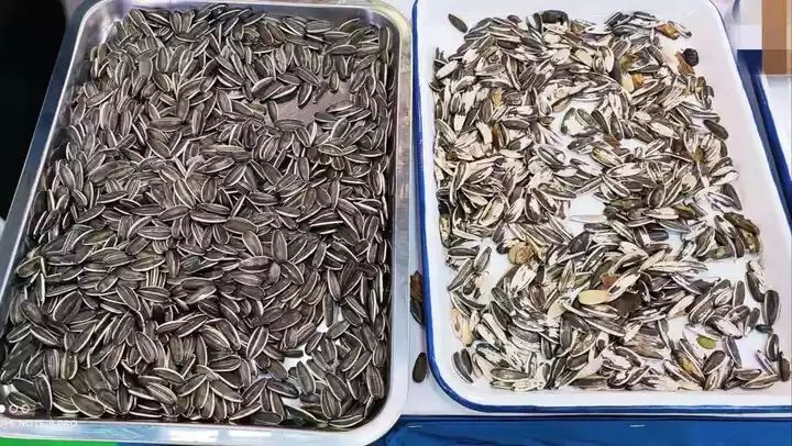 Selezionatore di colori CCD per arachidi Mandorle Noci Selezionatrice di colori intelligente con elevata precisione