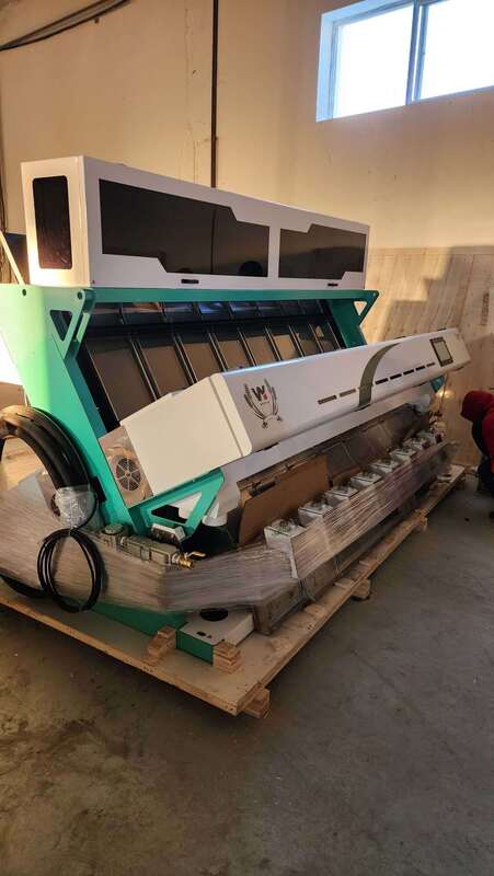 Macchina Selezionatrice di Colore per Chicchi di Caffè, Semi di Girasole ad Alta Produttività con Precisione di Smistamento del 99,95% e 8 Canali con Sensore CCD Toshiba Giapponese