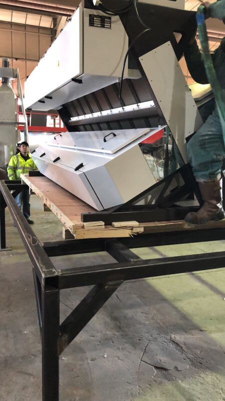 Macchina Selezionatrice di Colore per Chicchi di Caffè, Semi di Girasole ad Alta Produttività con Precisione di Smistamento del 99,95% e 8 Canali con Sensore CCD Toshiba Giapponese