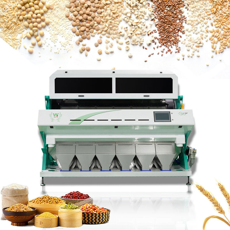 Selezionatrice di caffè multifunzione ad alta efficienza ottica per noci, fagioli e verdure disidratate