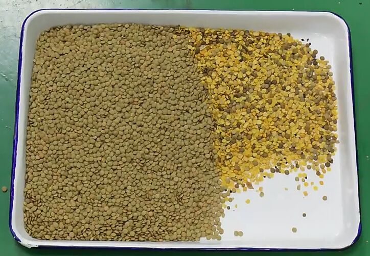 Wenyao 10 Chute 640 Canali Grandi capacità Lenticchie Mung Bean Color Sorting Machine Sorting Ottico per la Sorting di Noci