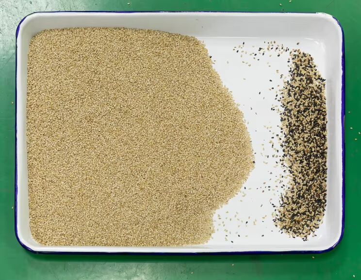 Wenyao 10 Chute 640 Canali Grandi capacità Lenticchie Mung Bean Color Sorting Machine Sorting Ottico per la Sorting di Noci