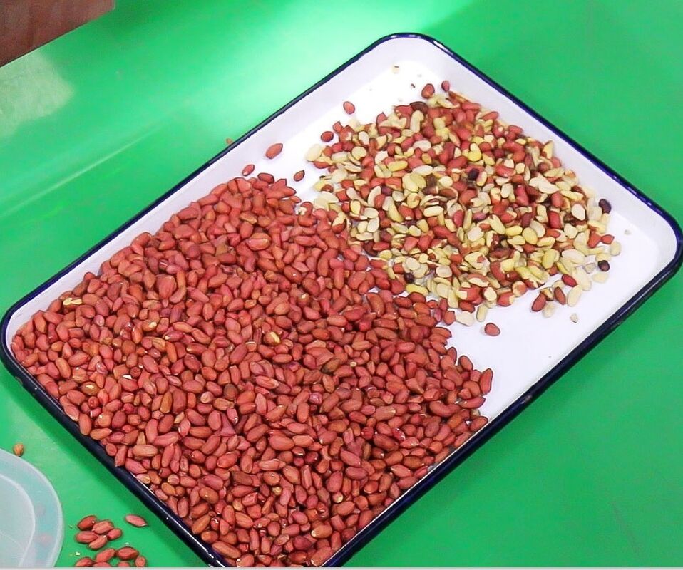 Wenyao 10 Chute 640 Canali Grandi capacità Lenticchie Mung Bean Color Sorting Machine Sorting Ottico per la Sorting di Noci