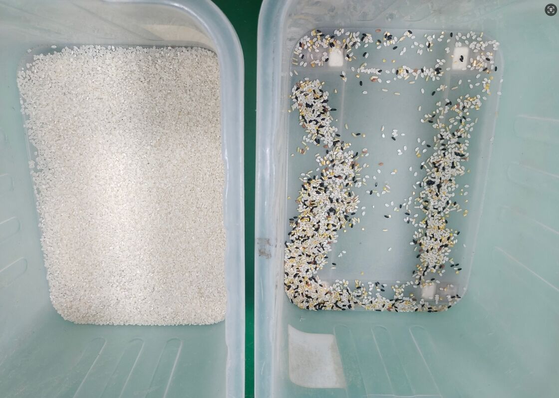 Cina Automatica ad alta tecnologia Rice Color Optical Sorting Sesame Processing Corn Color Sorting Machine