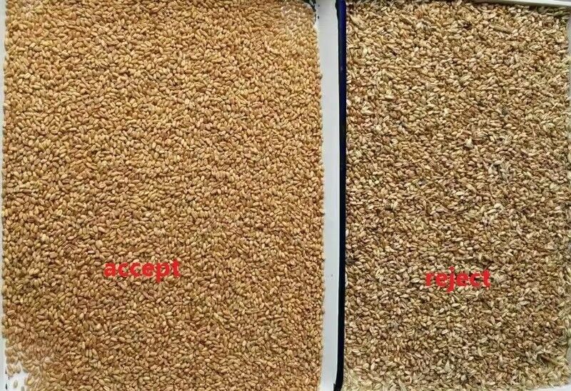 Cina Automatica ad alta tecnologia Rice Color Optical Sorting Sesame Processing Corn Color Sorting Machine