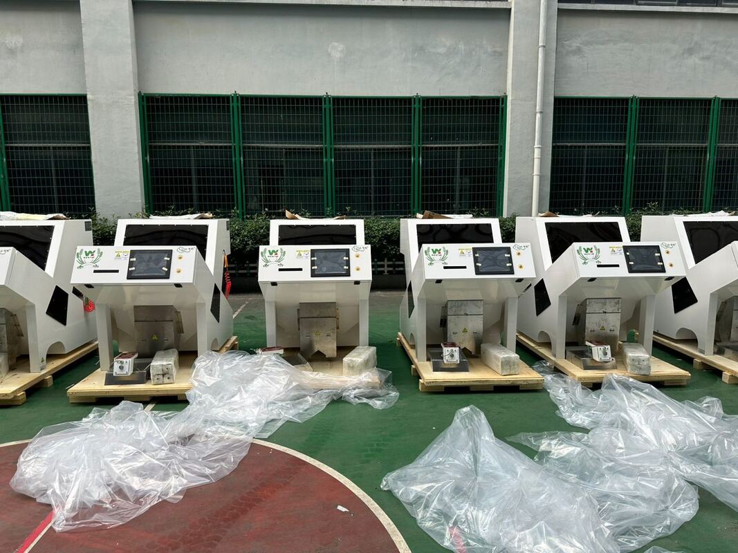 Selezionatrice di colori Wenyao per selezionatrice ottica di zucca, anacardi, arachidi, mandorla, per semi di noci, attrezzature per la pulizia della Cina