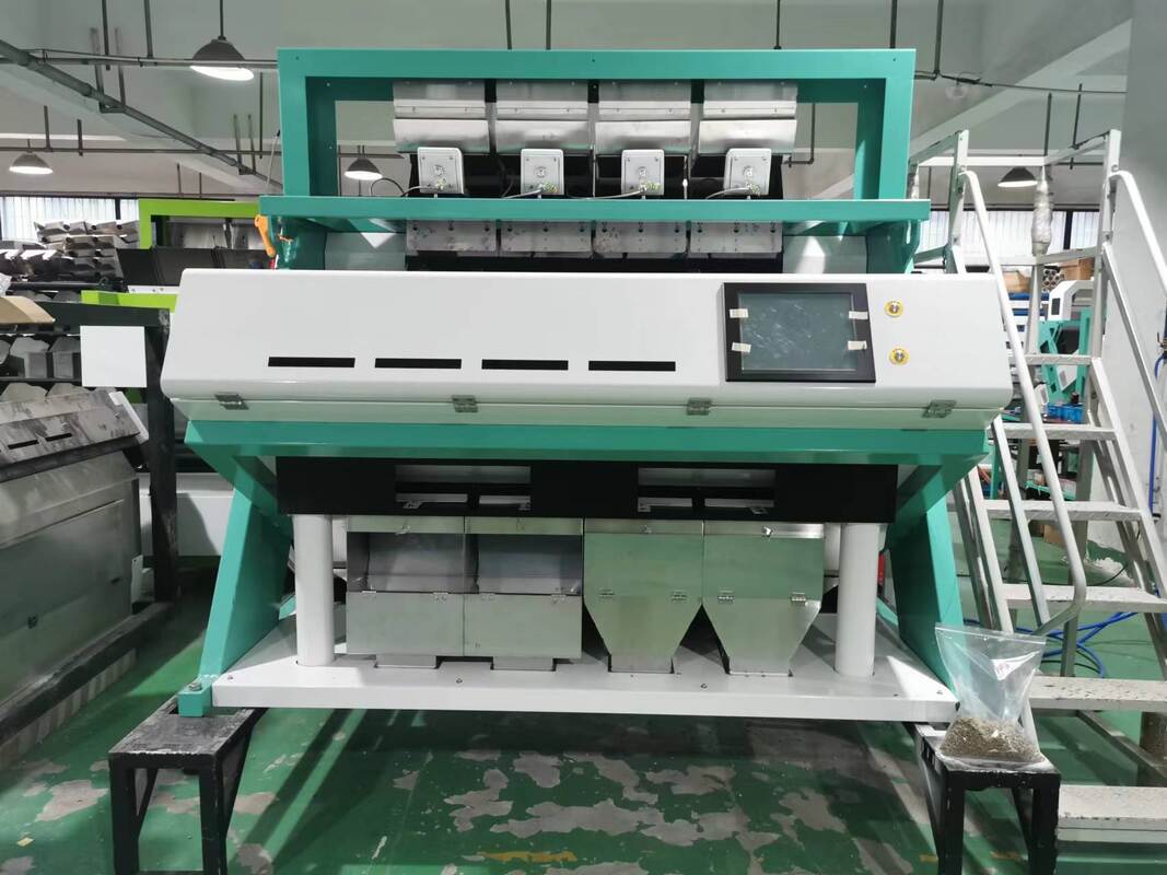 Wenyao Pistachio Noce Color Sorting Machine Peanut Noce Color Sorting Ottico