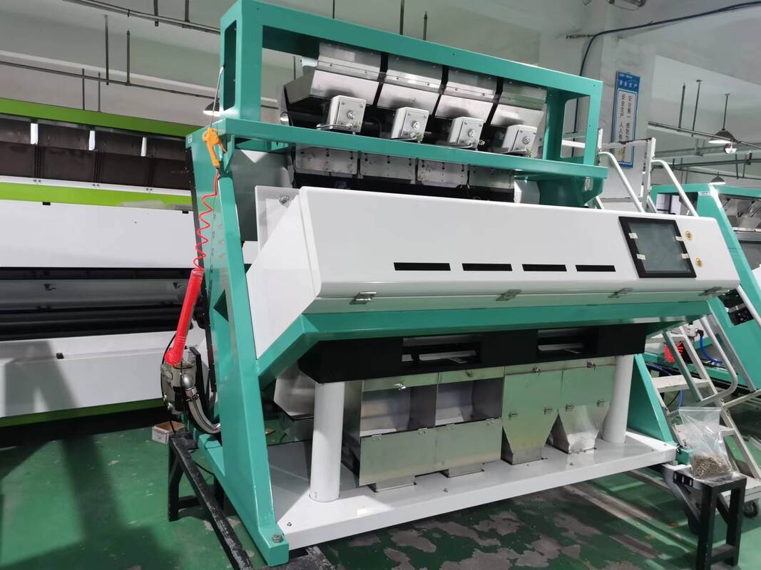 Wenyao Pistachio Noce Color Sorting Machine Peanut Noce Color Sorting Ottico