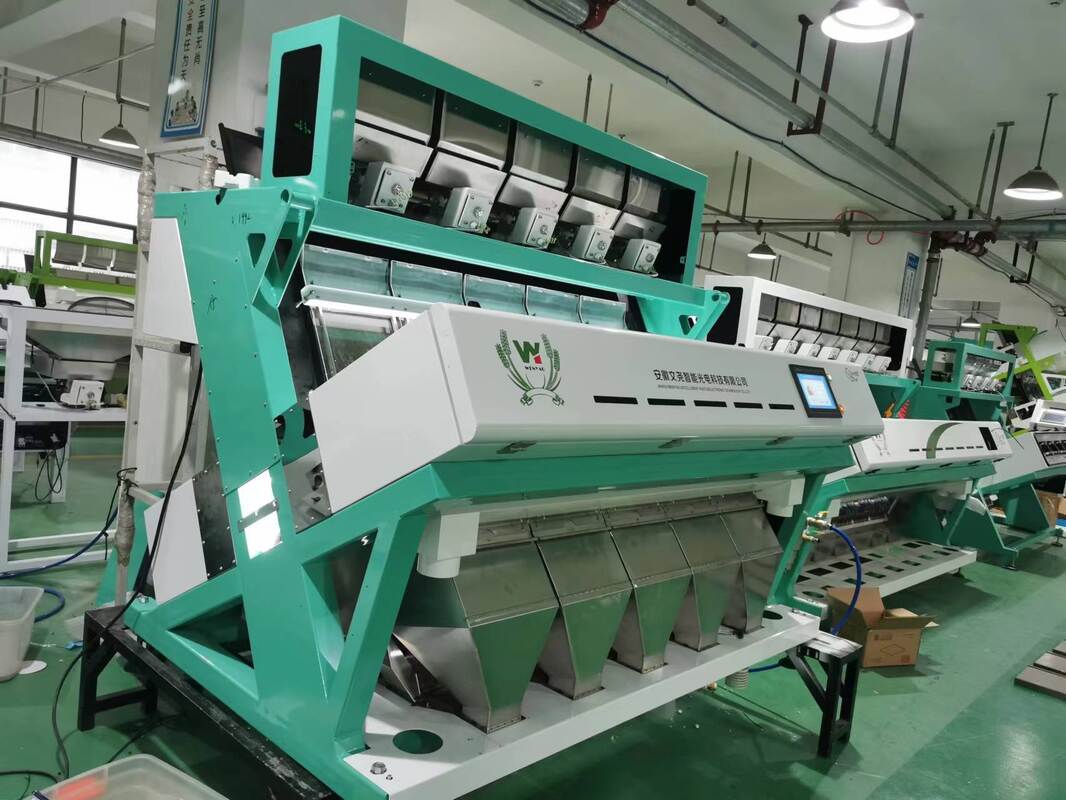 Wenyao AI Selezionatrice ottica Selezionatrice di colori per chicchi di caffè Caturra Macchina selezionatrice a forma di ciliegie di caffè verde