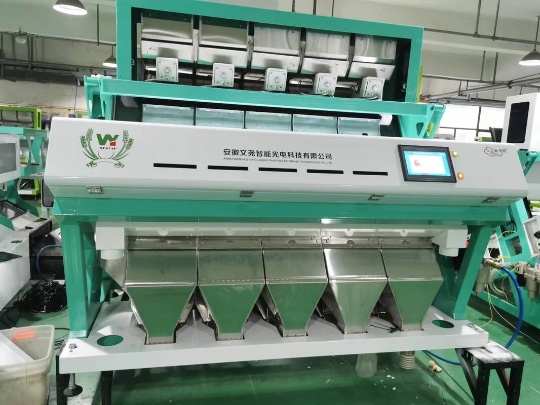 Wenyao AI Selezionatrice ottica Selezionatrice di colori per chicchi di caffè Caturra Macchina selezionatrice a forma di ciliegie di caffè verde