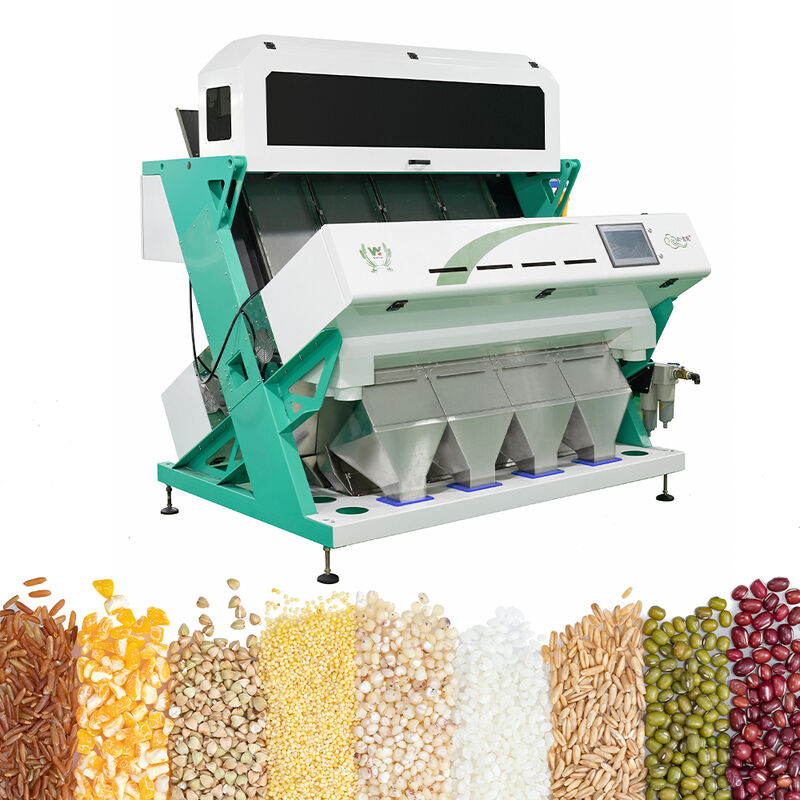 Separatrice intelligente di grano saraceno, avena, quinoa, selezionatrice di colori, 3 scivoli, 6 telecamere