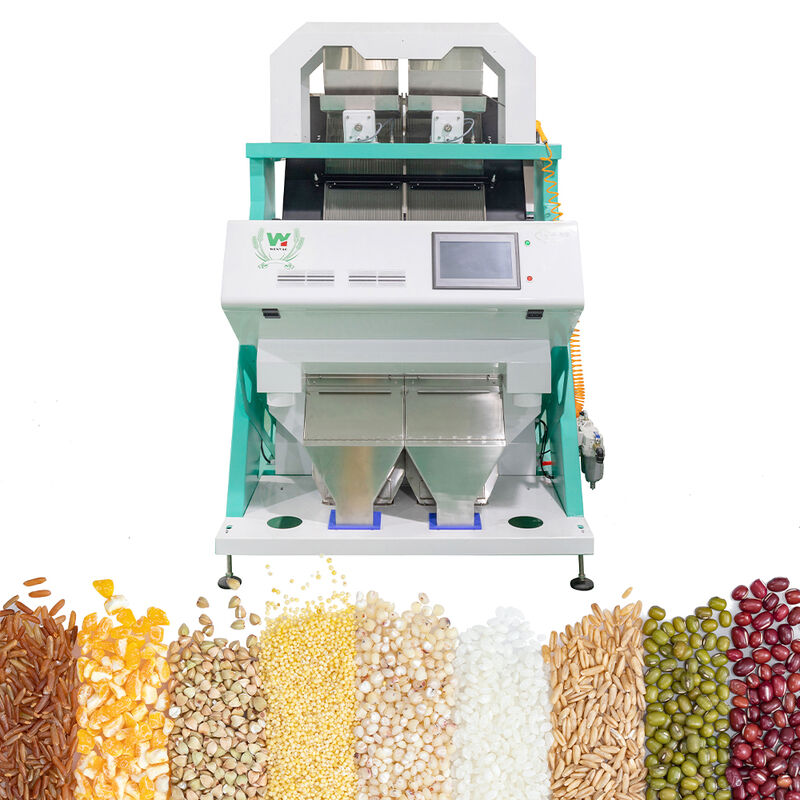Selezionatrice automatica per chicchi di caffè Selezionatrice per chicchi di caffè Separatore multifunzionale per semi di soia Lenticchie Ceci