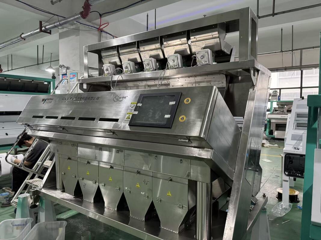 WENYAO Macchina Intelligente per la Selezione del Colore in Acciaio Inossidabile 304/316 Completa - Selezionatrice di Sale per la Rimozione delle Impurità