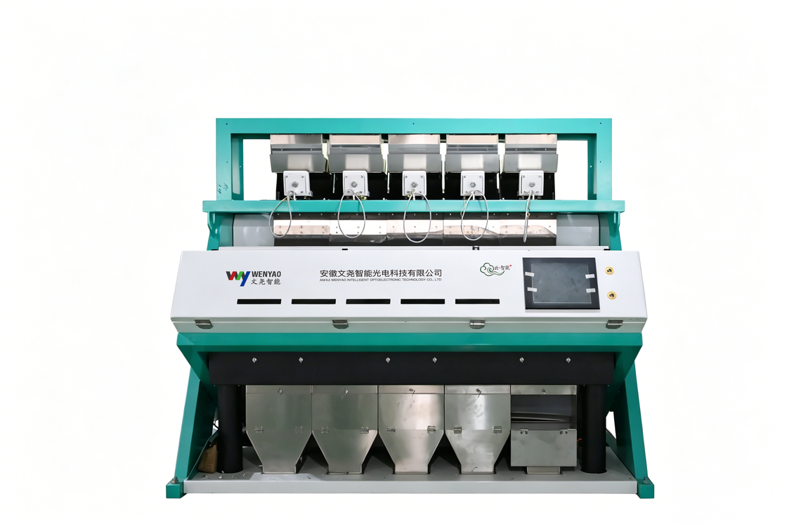 Macchina selezionatrice automatica di semi di girasole Wenyao ad alta precisione 99,99% CCD con 5 tramogge, 320 canali e acciaio inossidabile per uso alimentare 304