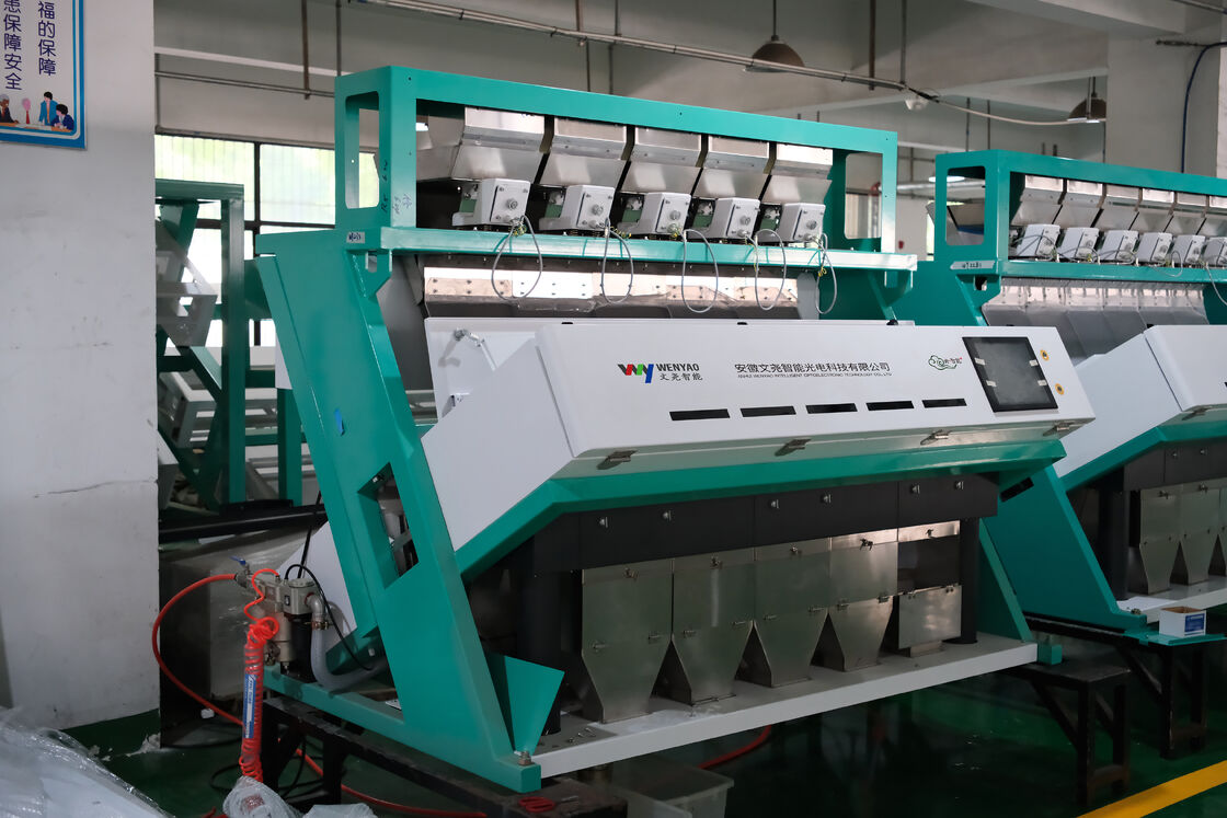 Macchina selezionatrice automatica di semi di girasole Wenyao ad alta precisione 99,99% CCD con 5 tramogge, 320 canali e acciaio inossidabile per uso alimentare 304