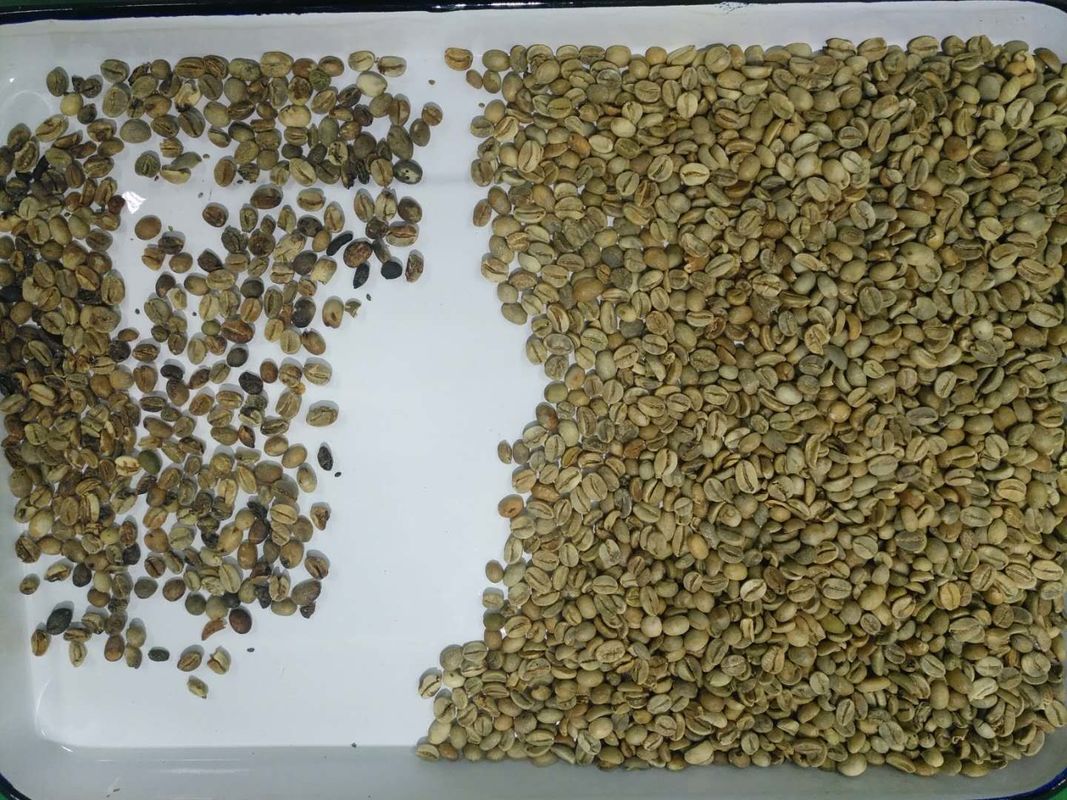 4 scivoli 256 incanala la macchina del selezionatore di colore del caffè per il telecomando di Wifi dei fagioli