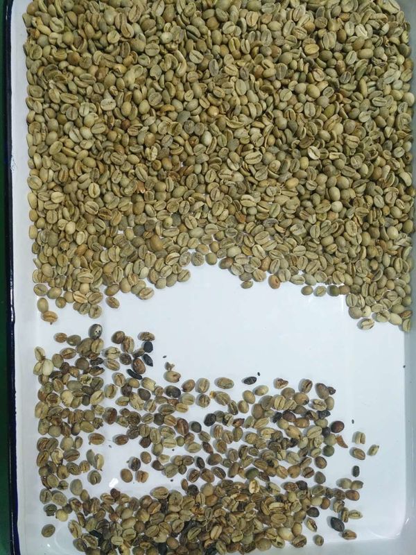 4 scivoli 256 incanala la macchina del selezionatore di colore del caffè per il telecomando di Wifi dei fagioli