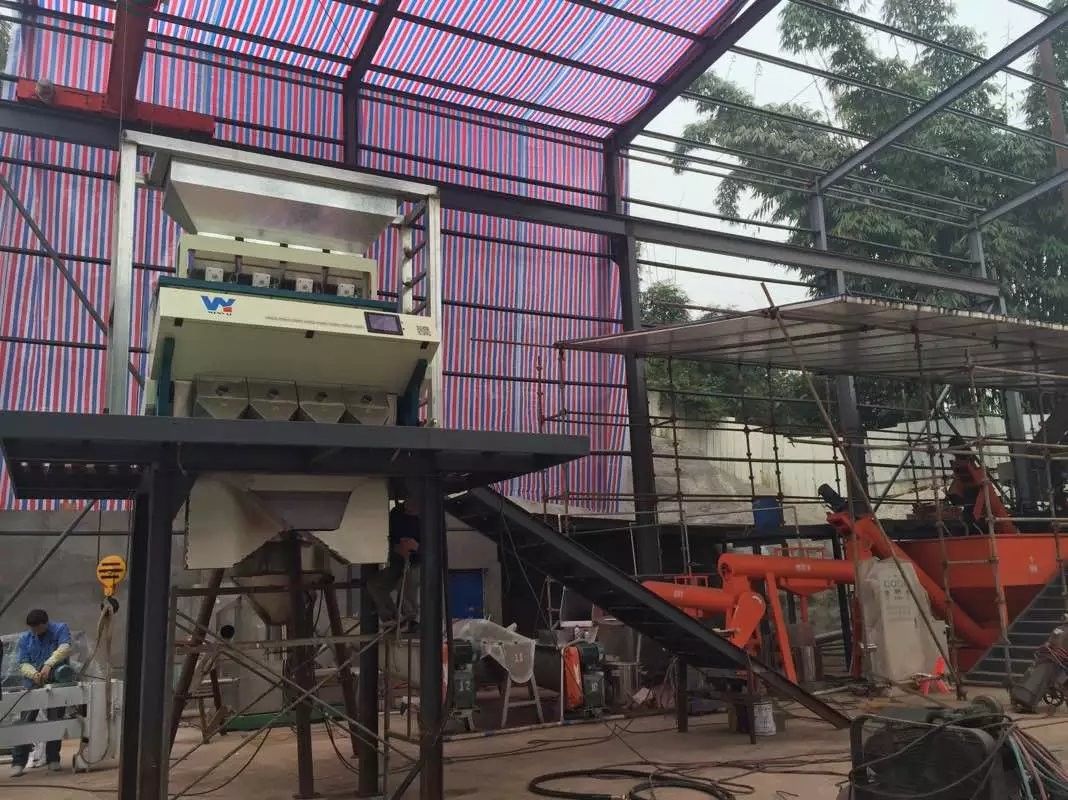 Il selezionatore automatico di colore del grano del CCD, 3t/h pepa il vaglio