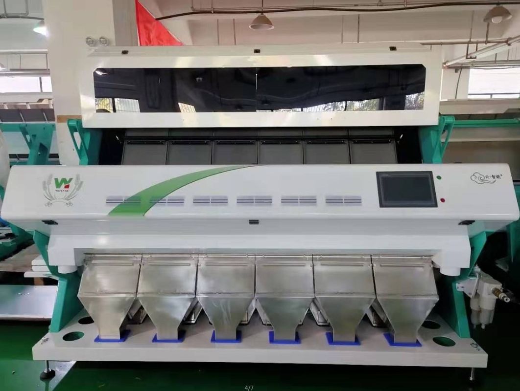 4T/H Sacha Inchi Bean Sorting Machine con alta accuratezza di separazione