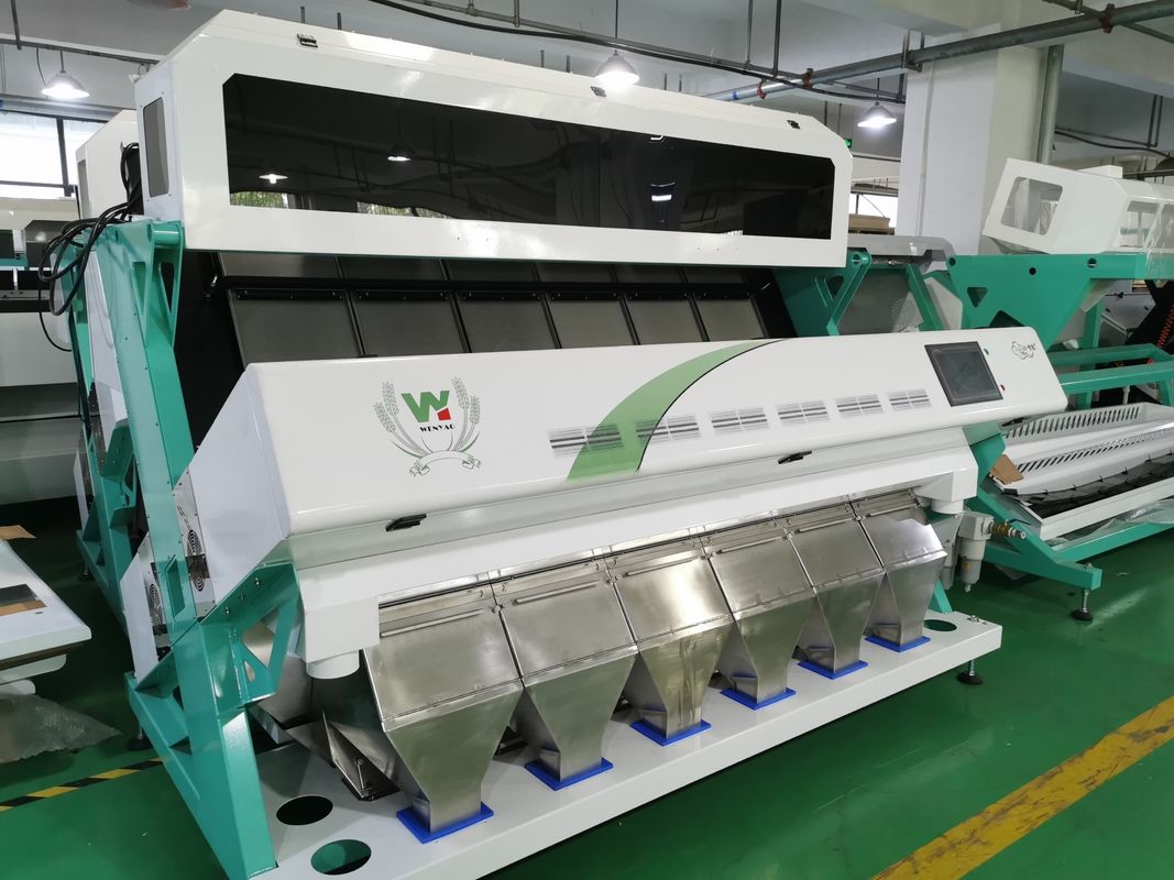 4T/H Sacha Inchi Bean Sorting Machine con alta accuratezza di separazione