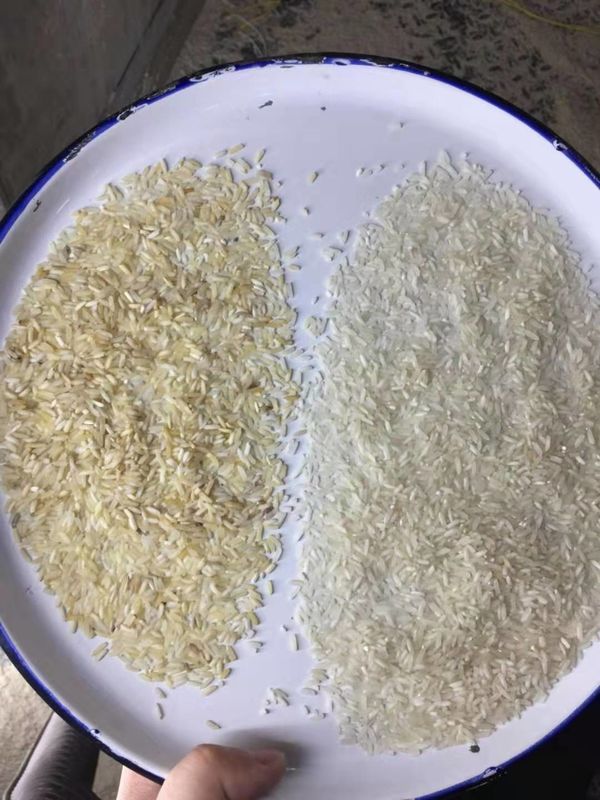 macchina fotografica di marca di Toshiba del pixel del selezionatore 5400 di colore del grano 3t/H