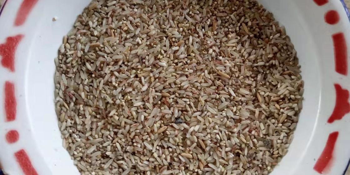 macchina fotografica di marca di Toshiba del pixel del selezionatore 5400 di colore del grano 3t/H