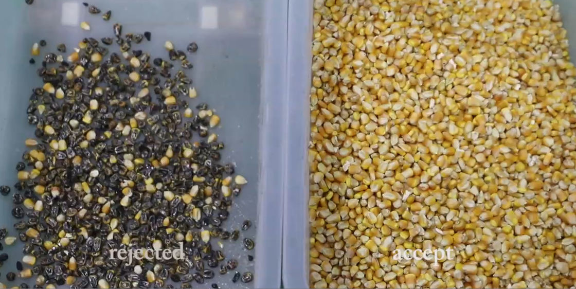 Sortitore di colori di grano ad alta risoluzione, macchina di selezione di colori di quinoa in fabbrica.