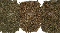 Sortitore di colore dei chicchi di caffè verde Mini Sortitore di colore del caffè crudo tostato