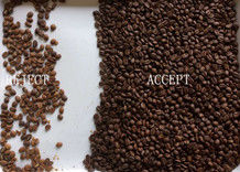 Sortitore di colori di chicchi di caffè con lenti Nikon Giappone Tecnologia avanzata di apprendimento profondo