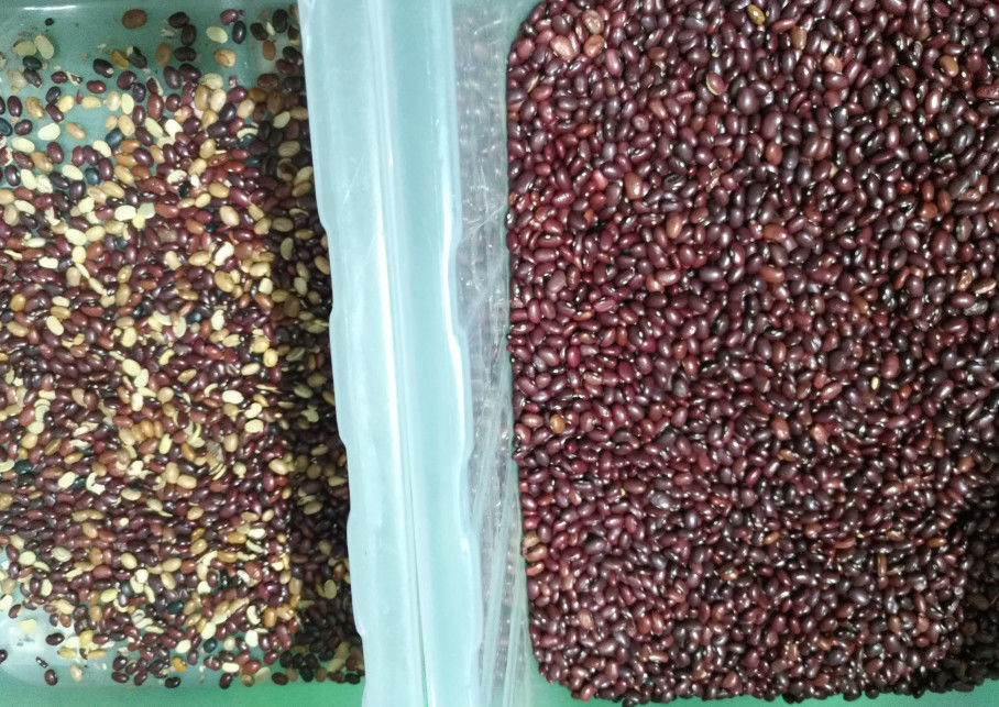 5400 pixel Mini Beans Color Sorter, vaglio della soia 800kg/H