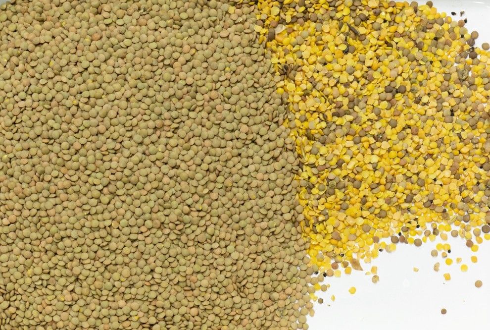Macchina per la selezione dei colori multifunzione ad alta precisione per i cereali Caffè Cacao Fagioli Grano