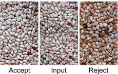 Selezionatrice per la cernita del colore dei fagioli di soia, macchina per la selezione dei legumi, pulizia dei semi di fagioli verdi e neri di Sohum