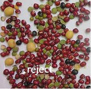 Separatore intelligente rosso di colore del CCD di Bean Color Sorting Machine Automactic del selezionatore di colore