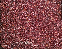 Separatore intelligente rosso di colore del CCD di Bean Color Sorting Machine Automactic del selezionatore di colore
