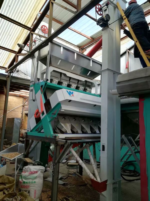 Linea di trasformazione del sesamo WYCS5-320 Macchina per la selezione del colore dei semi di sesamo bianco per la rimozione e la pulizia del sesamo nero