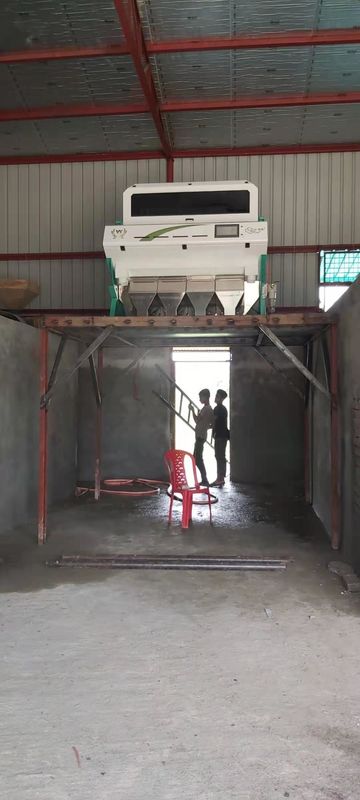 240V 50Hz ha arrostito il chip d'elaborazione ad alta velocità di Bean Sorting Machine del caffè